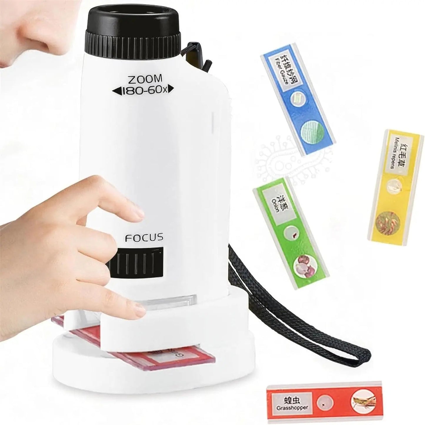 Portable Handheld Microscope - Toynix