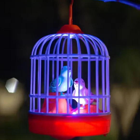 Birds Cage With Light & Sound For Kids (006)
