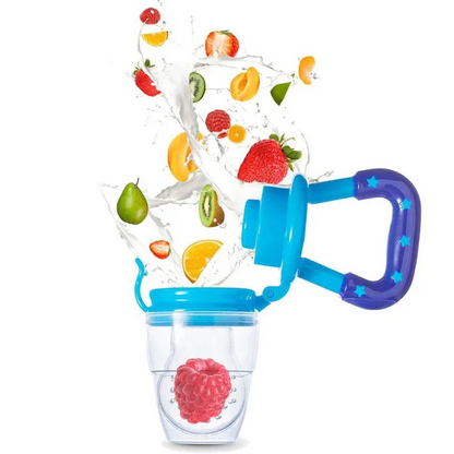 Baby Fruit Pacifier Feeder