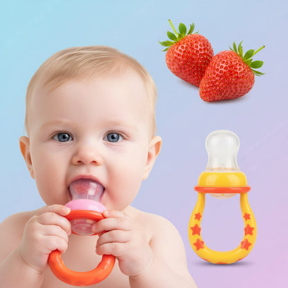 Baby Fruit Pacifier Feeder