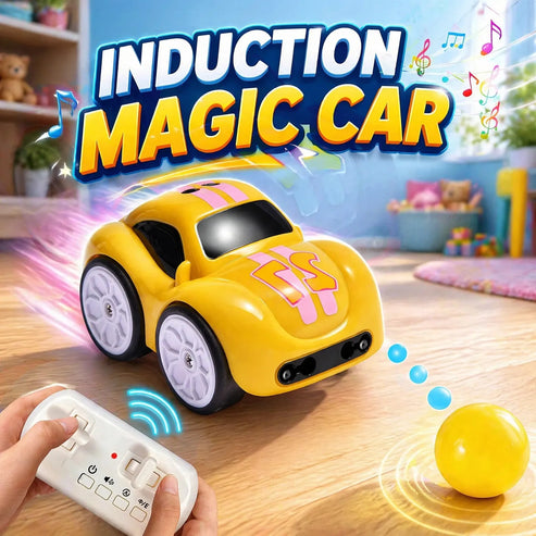 Mini RC Car
